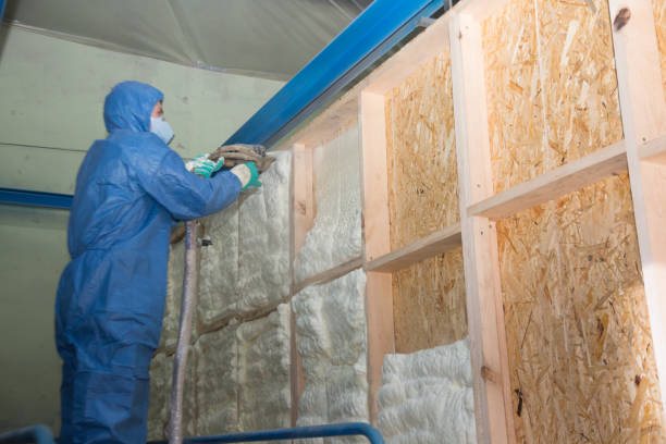 Best Insulation for New Construction  in USA